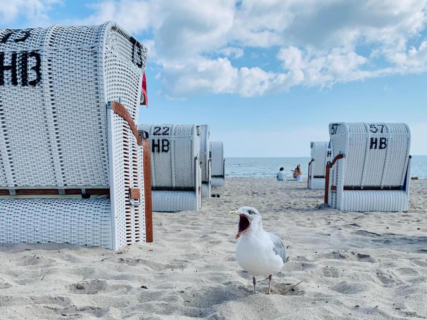 Ferienwohnung Strandstern 沙博伊茨 外观 照片